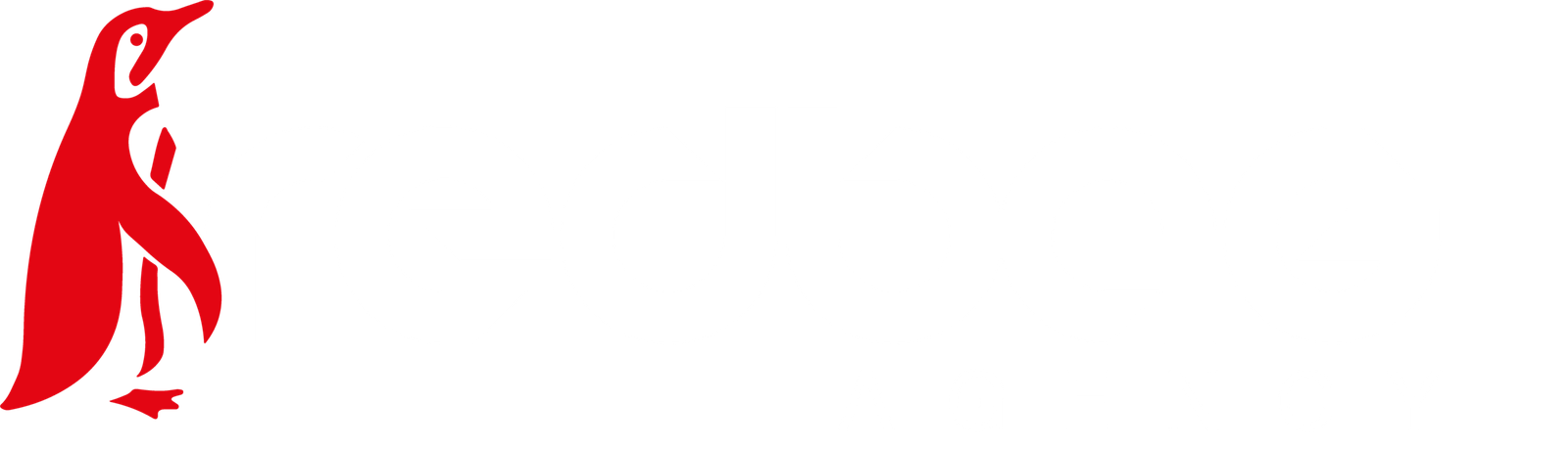 Red Bag Agency
